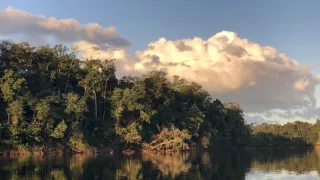 Ohrozená Amazónia (3/3)