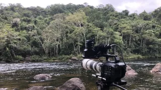 Ohrozená Amazónia (3/3)