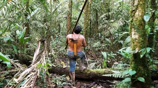 Ohrozená Amazónia (3/3)