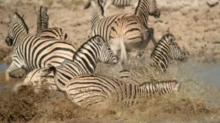 Africká abeceda