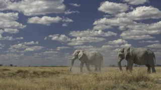 Africká abeceda