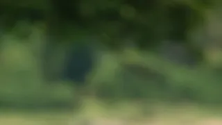 Africká abeceda