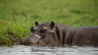 Africká abeceda