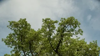 Africká abeceda