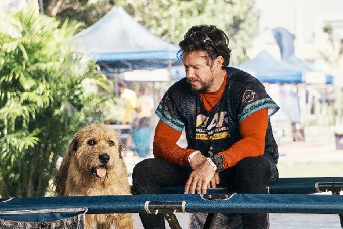 Nezlomní (Arthur the King), 2023 - fotogaléria