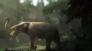 Keď veľryby ešte chodili (1/2)