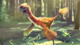 Keď veľryby ešte chodili (1/2)