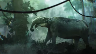 Keď veľryby ešte chodili (1/2)