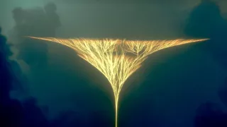 Keď veľryby ešte chodili (1/2)