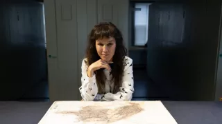 Keď veľryby ešte chodili (1/2)