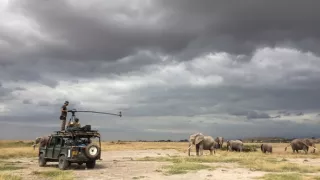 Keď veľryby ešte chodili (1/2)