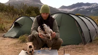 Naši bratia medvede