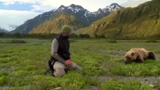 Naši bratia medvede