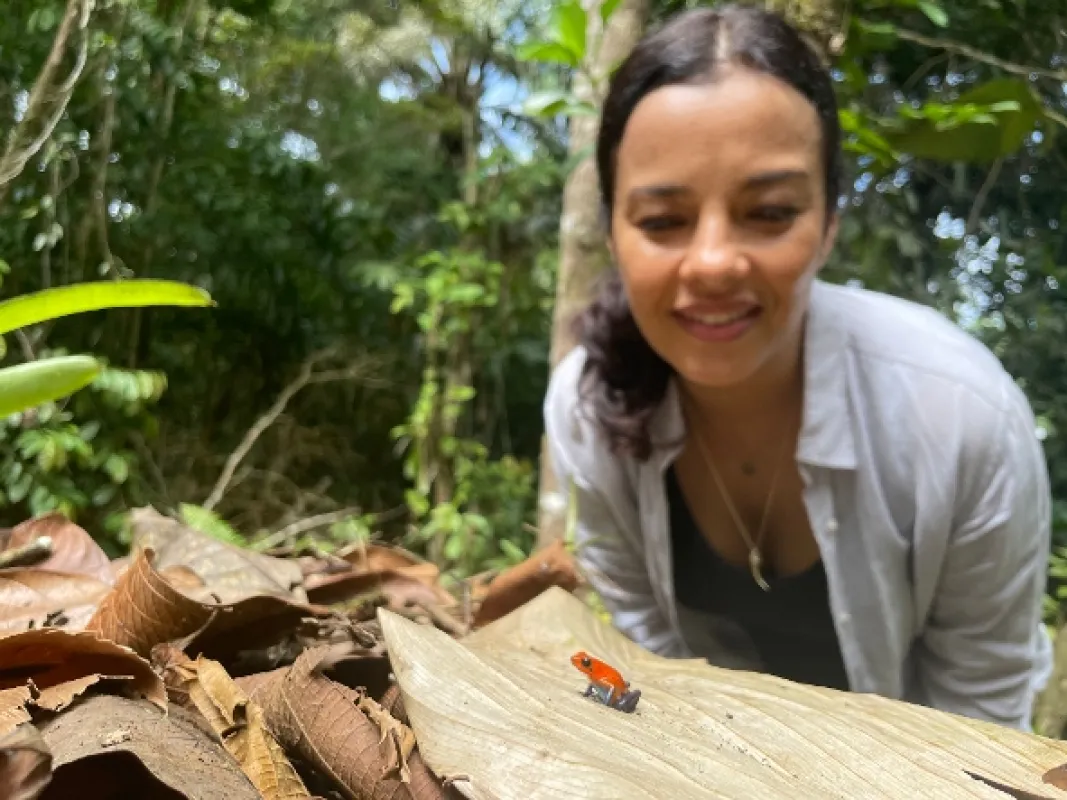 Divokým Karibikem s Liz Bonninovou (Wild Caribbean with Liz Bonnin), 2023 - fotogaléria