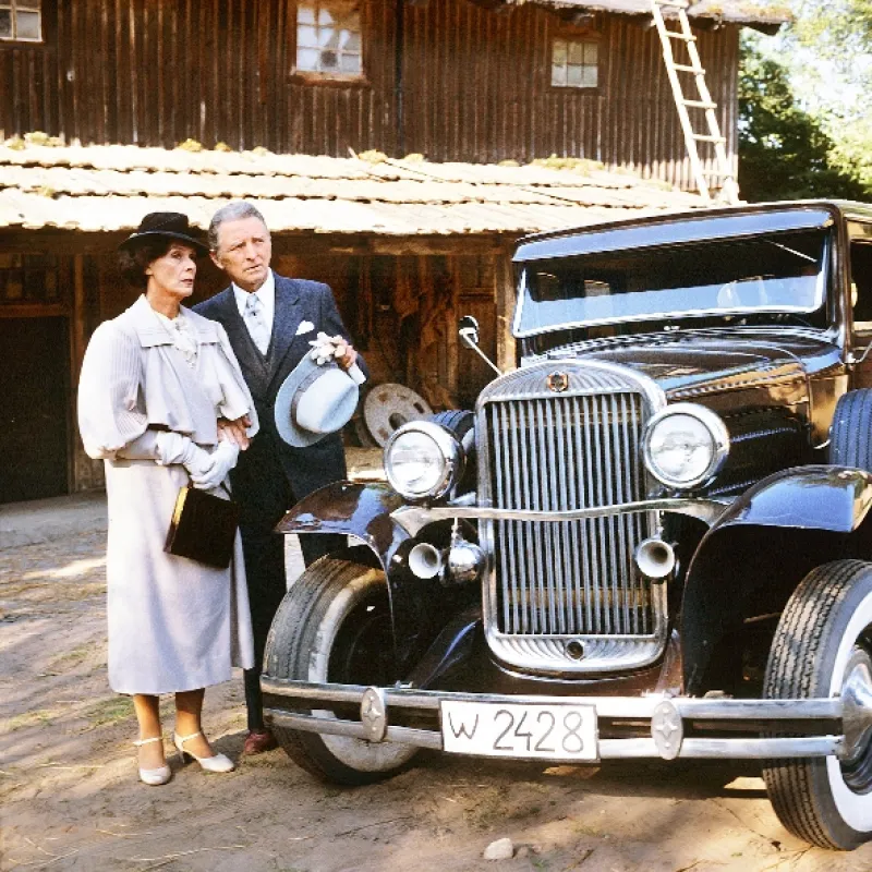 Mastičkář (Znachor), 1981 - fotogaléria