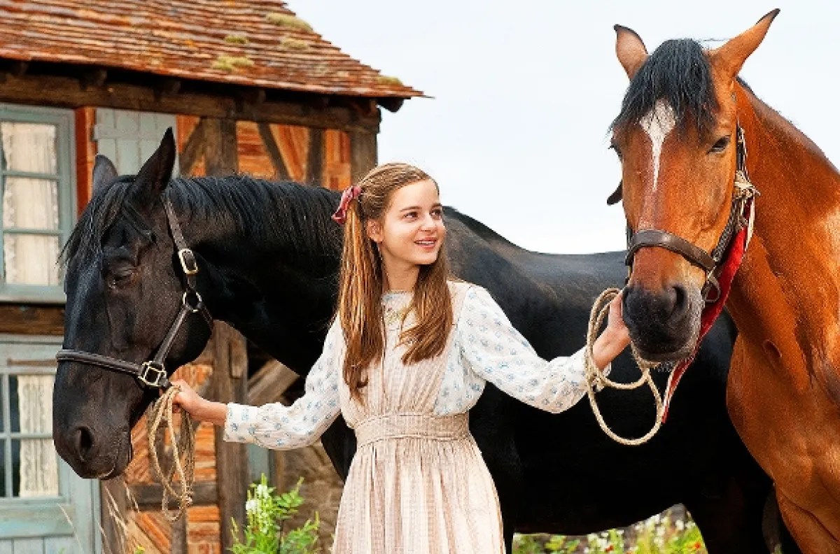 Válečný kůň (War Horse), 2011 - fotogaléria