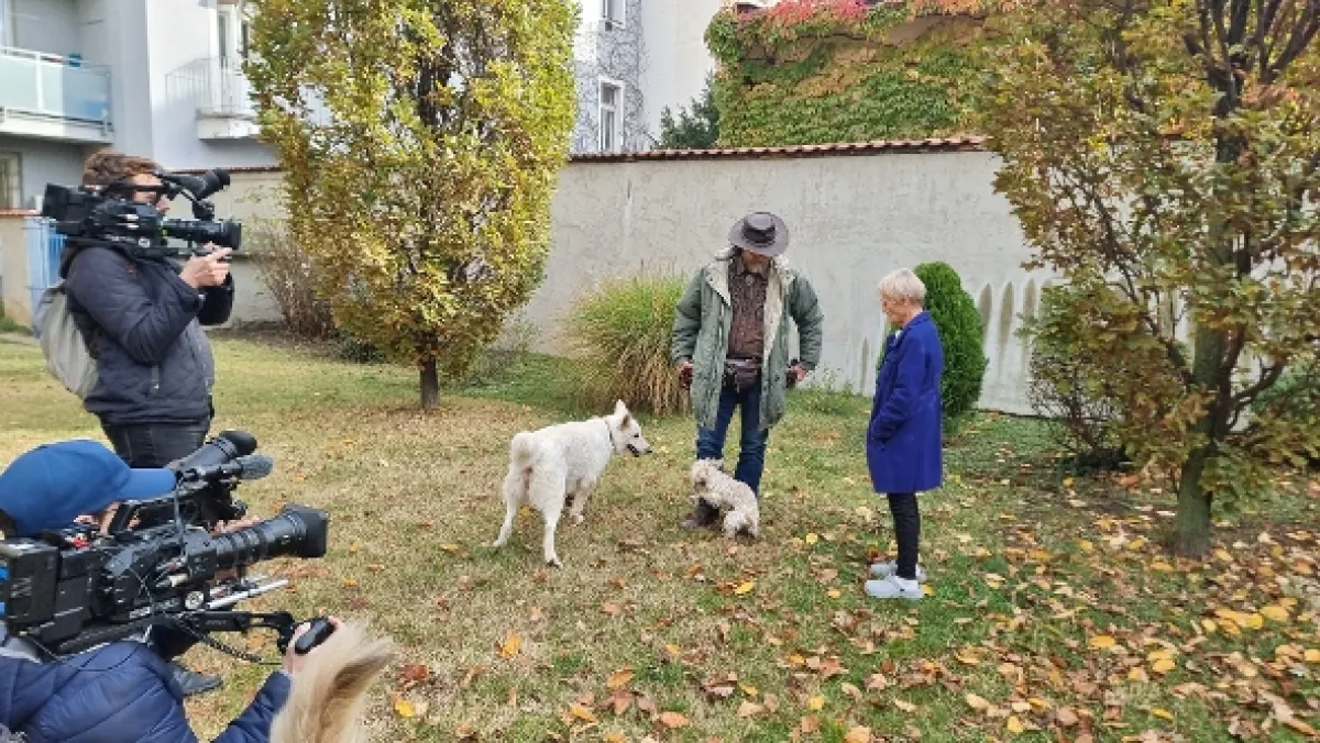 Mačka nie je pes - fotogaléria