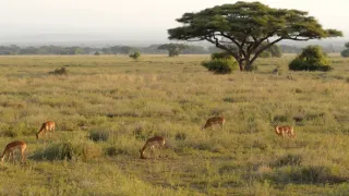 Afrika z výšky