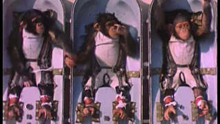 Šimpanz Ham astronautom