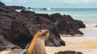 Galapágy: Na konci světa (3)