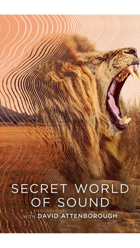 Tajuplný svět zvuků s Davidem Attenboroughem (Secret World of Sound with David Attenborough), 2023 - fotogaléria