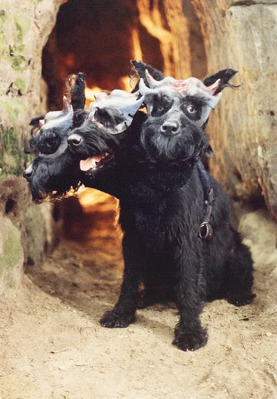 Princezna Duše, 1991 - fotogaléria