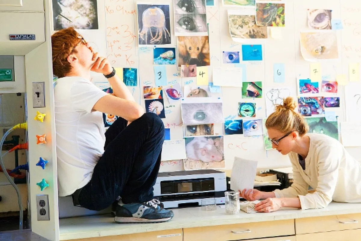 Východiskový bod (I Origins), 2014 - fotogaléria