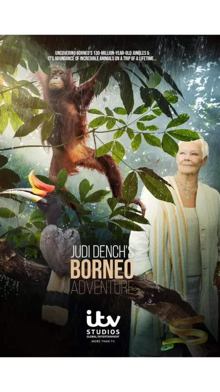 Divoké Borneo Judi Denchové (Judi Dench’s Wild Borneo Adventure), 2019 - fotogaléria