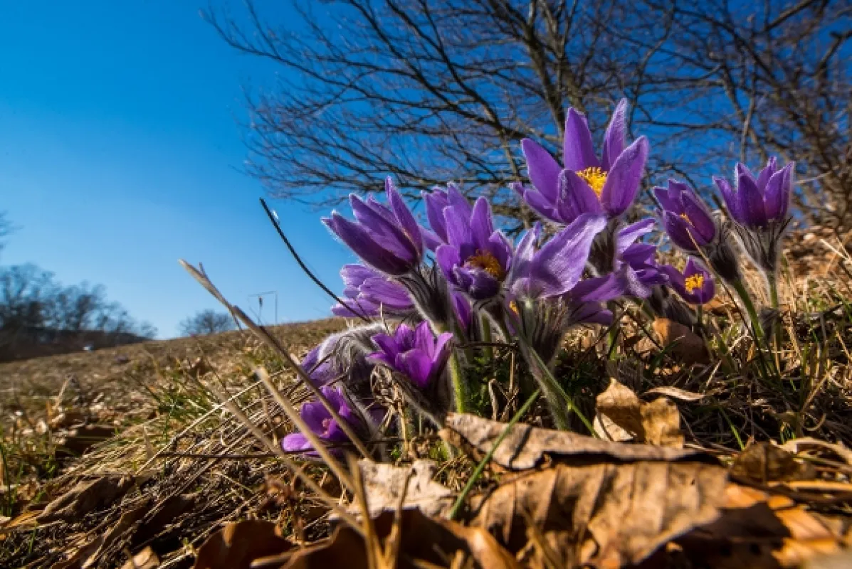 Život v pohorí Rhön (Die Rhön), 2020 - fotogaléria