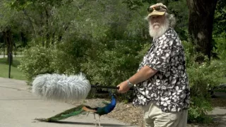 Zvuky přírody (2/3)