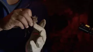 Zvuky přírody (2/3)