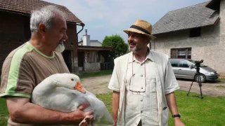Co Čech, to chovatel