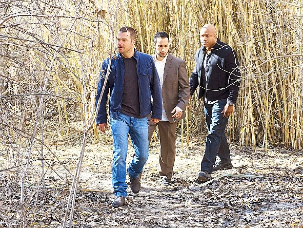 NCIS: Los Angeles, 2014 - fotogaléria