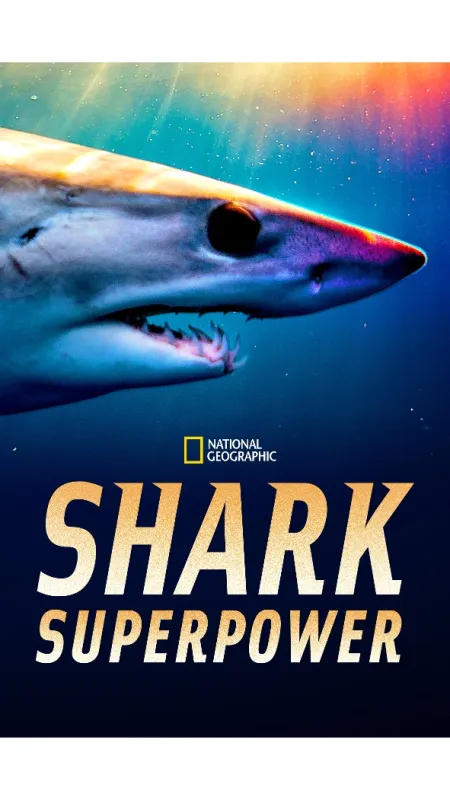 Žraločí superschopnosti (Sky Sharks: Closer than You Think), 2020 - fotogaléria