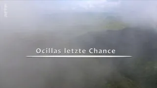 Ocelot a já