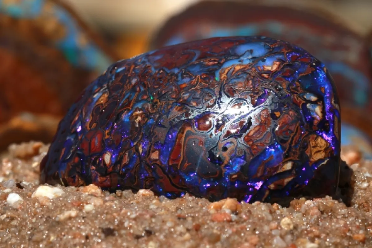Lovci opálů (Outback Opal Hunters), 2021 - fotogaléria