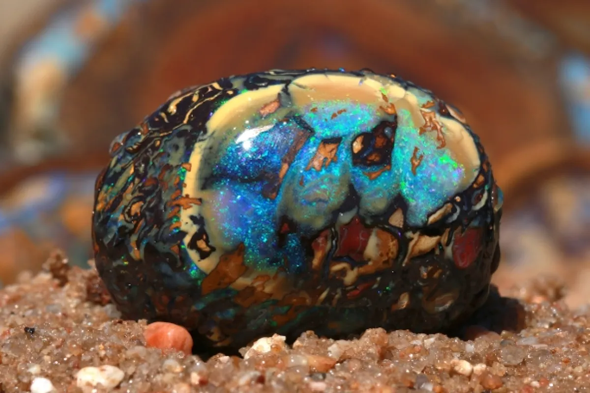 Lovci opálů (Outback Opal Hunters), 2021 - fotogaléria