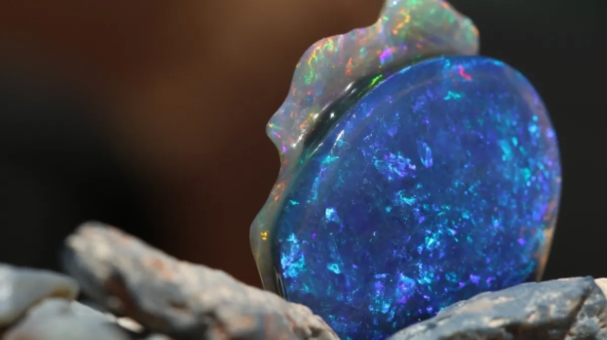 Lovci opálů (Outback Opal Hunters), 2021 - fotogaléria