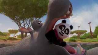 Medvídek panda v Africe