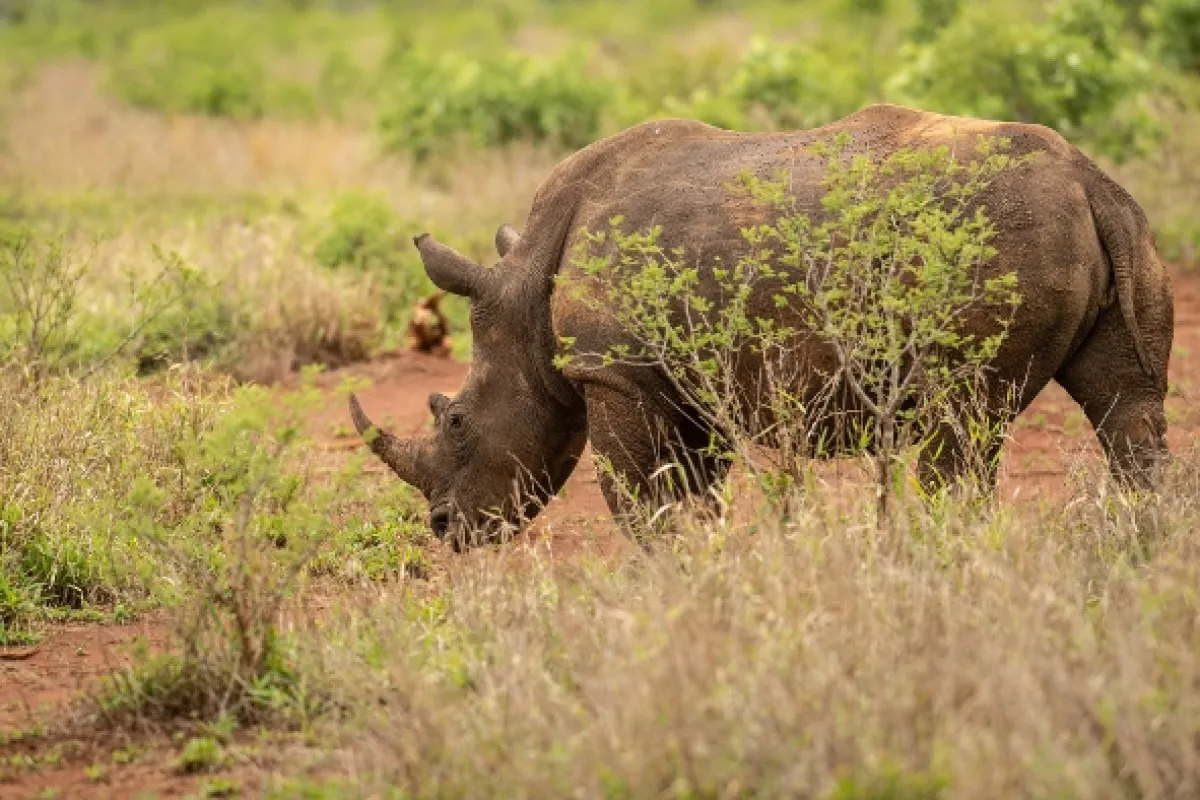 Africká abeceda, 2019 - fotogaléria