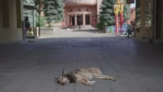 Podkarpatské Rusínsko