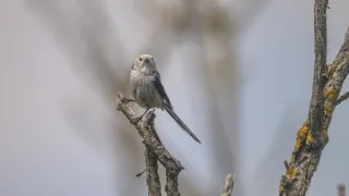Přírodní divy Bílých Karpat (1/12)
