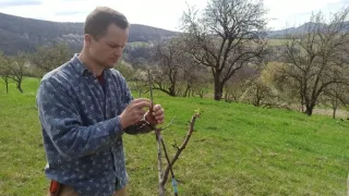 Přírodní divy Bílých Karpat (1/12)