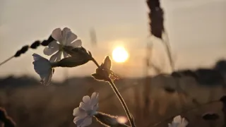 Přírodní divy Bílých Karpat (1/12)