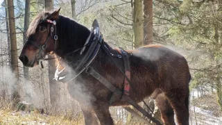 Přírodní divy Bílých Karpat (1/12)