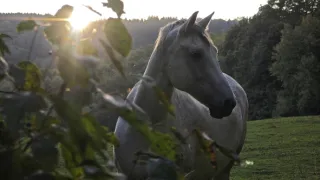 Přírodní divy Bílých Karpat (1/12)