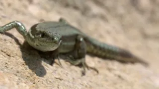 Přírodní divy Bílých Karpat (1/12)