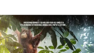 Divoké Borneo Judi Denchové (1/2)