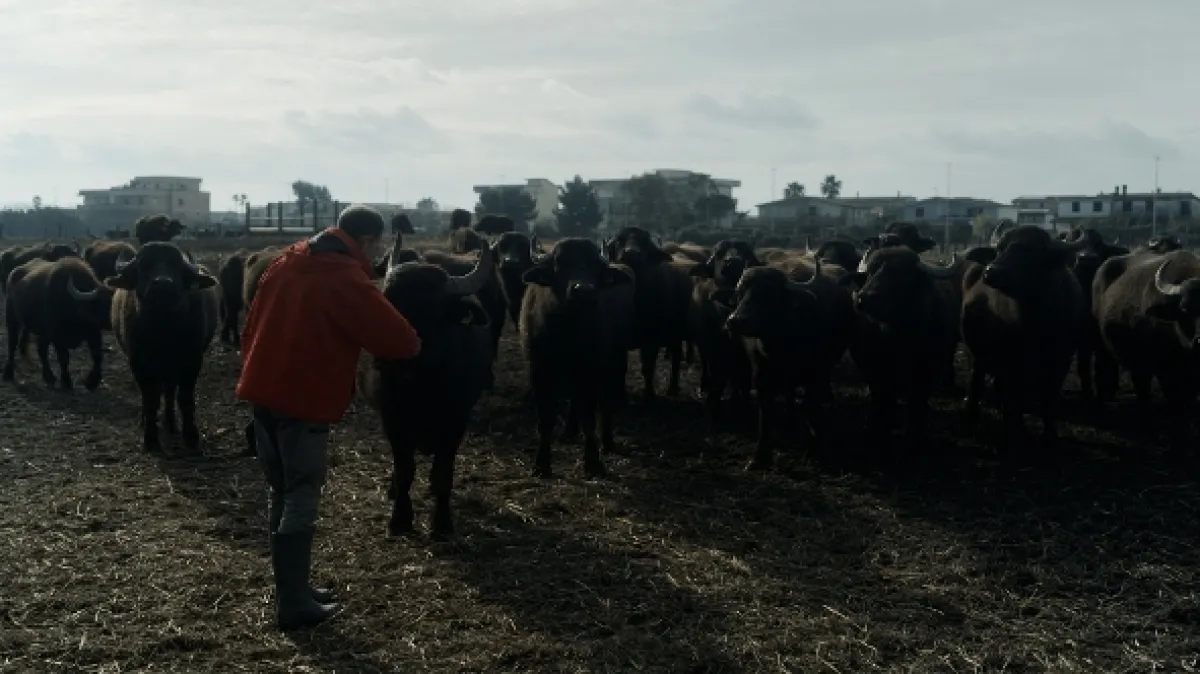 Agromafie v Itálii - fotogaléria