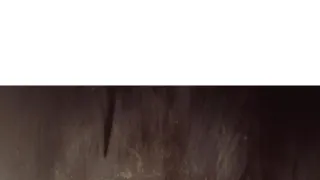 Hledání žabích chlapců (1)